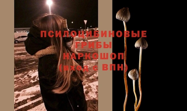 хмурый Абдулино