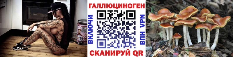 Псилоцибиновые грибы Cubensis  mega ссылка  Нальчик 