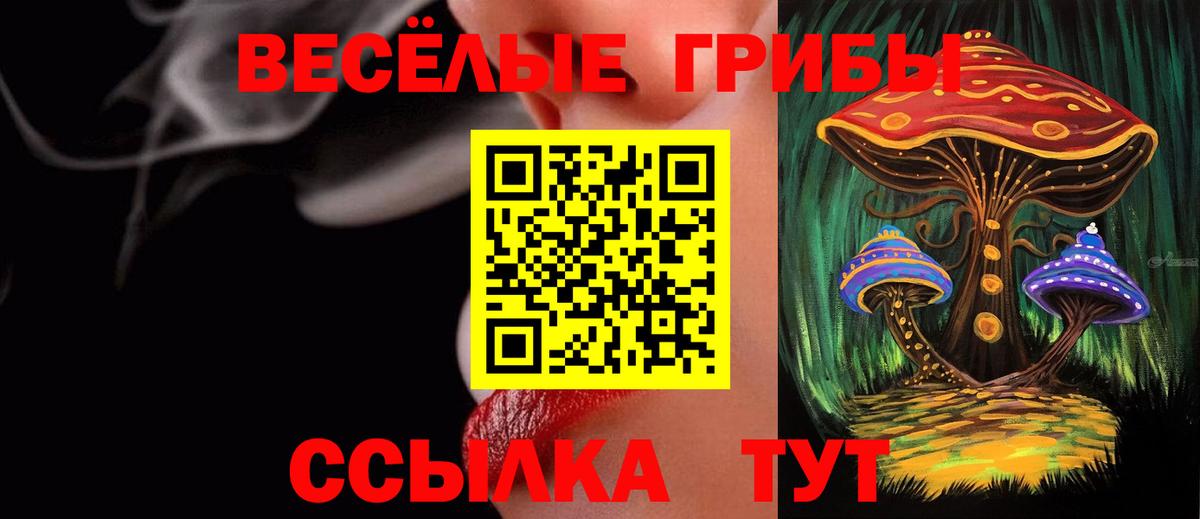 Псилоцибиновые грибы Magic Shrooms  Вход с VPN  как найти   Нальчик 